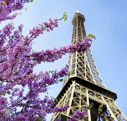 L’évolution du logement et de l’habitat à Paris permet à chacun d’avoir une vision de la dynamique urbaine de la capitale.